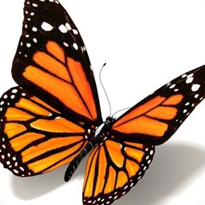 Meet your Posher, Buttaflyclosett